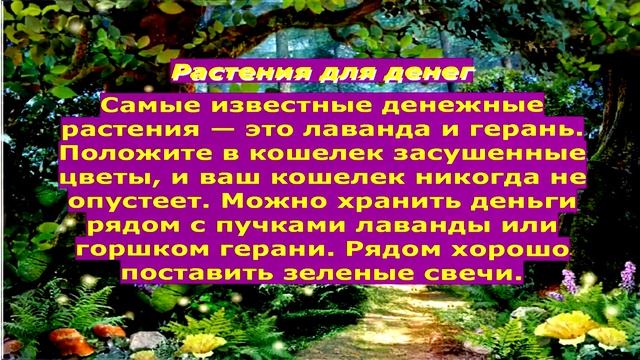 Магия трав и деревьев известна людям из далекого прошлого смотреть онлайн
