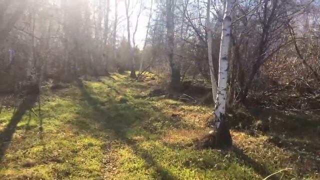 Участки бывают разные (цена решает не всегда) СНТ «6 пятилетка» смотреть онлайн