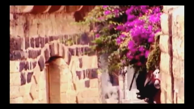 "Нашим любимым Мужчинам "-исп. автор Галочка смотреть онлайн