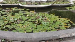 Бали 2020! | Мой ТОП 5 бюджетных отелей Бали! | Отличные отели и гесты острова!