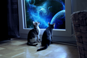 КОСМОГРАФИЯ В ВЕДАХ И В ВЕДИЧЕСКИХ ЗНАНИЯХ. Леонид Тугутов (Лакшми Нараяна дас). Лекция-семинар.