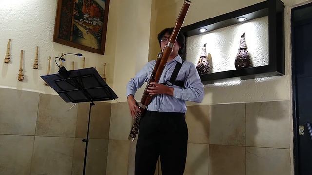Audición - Orquesta Sinfónica Juvenil Naucalpense 2020 - Abdiel Alberto López López - Fagot смотреть онлайн
