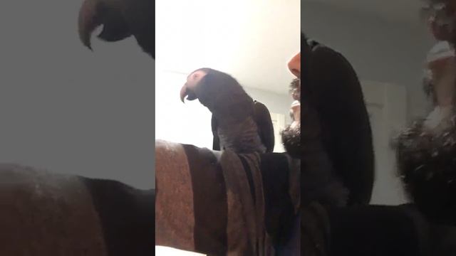 Jakko смотреть онлайн