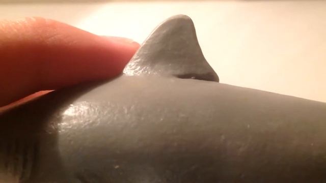 Safari Ltd Wild Safari Sealife Bull Shark Review