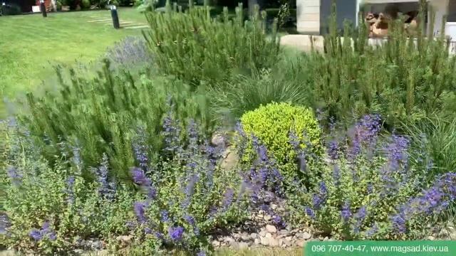 Ландшафтный дизайн участка реализация Ривьера Виллас смотреть онлайн