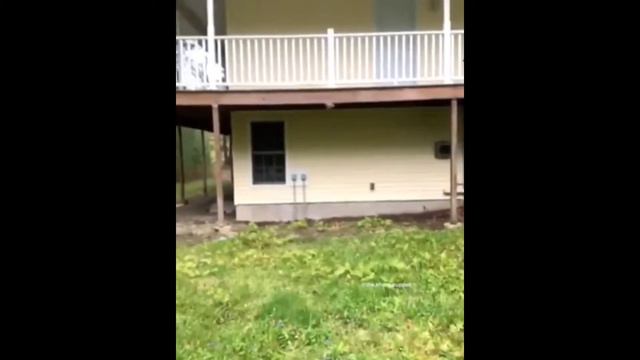 memes for which I masturbate 2 смотреть онлайн