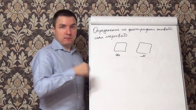 Определение по фотографии живой или мертвый смотреть онлайн