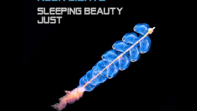 Neon Lights (SPB) - Just смотреть онлайн