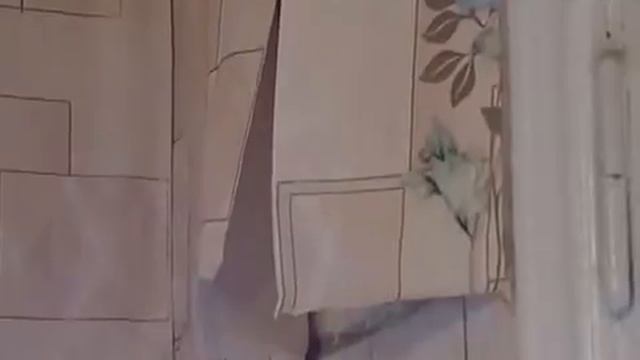 Череповчане из многоэтажки на Ленина ждут ремонт кровли уже полтора года смотреть онлайн