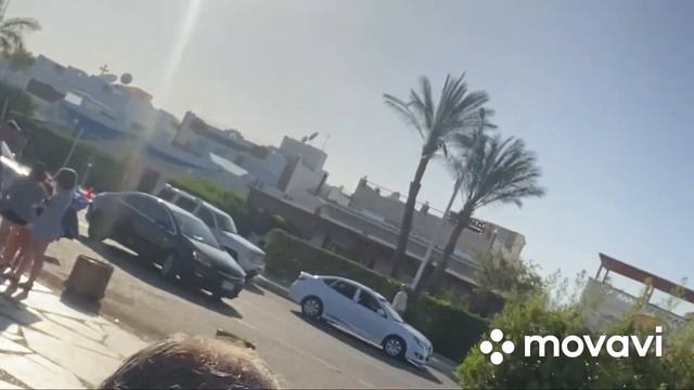 Шарм-эш-Шейх (спорт, отжимания) смотреть онлайн