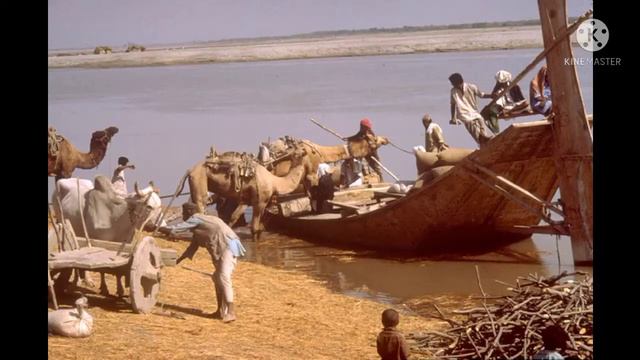 Mesopotamian Civilization-Trade And Commerce | Study Life смотреть онлайн