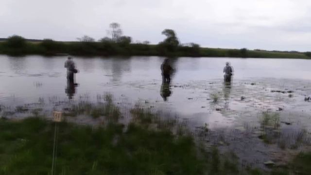 2 этап ЧРБ 2016 по спиннингу с берега. Видео-обзор "Получи леща!" смотреть онлайн