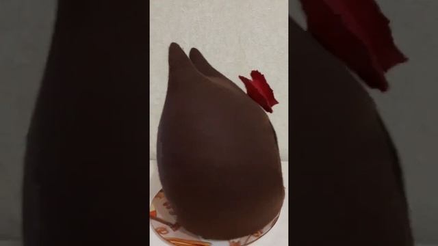 Домик из шерсти для кошек и собачек смотреть онлайн