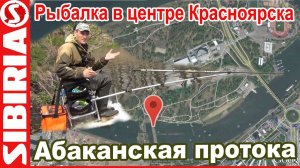 Ловля в центре Красноярска  Рыбалка на абаканской протоке остров Отдыха