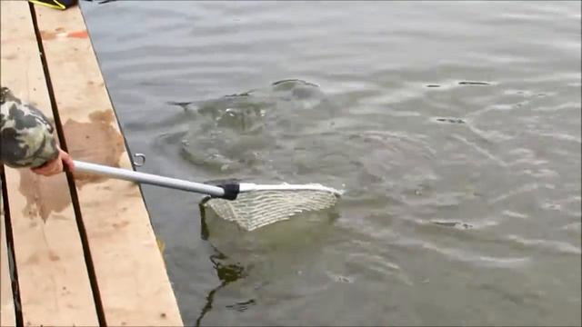 платная рыбалка в ПИРОГОВО - Коргашино смотреть онлайн