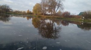 Лодка гребная под мотор Лоцман Профи 280 Первые впечатления