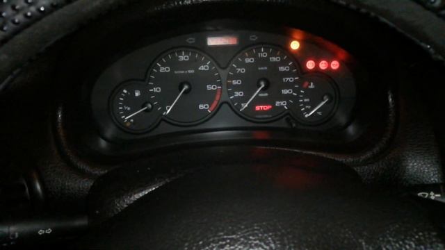 Peugeot 206 1.9D - Cold Start
