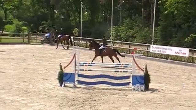 actionbreaker x nimmerdor смотреть онлайн