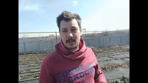 Обработка клубники весной.Обрезка листьев.