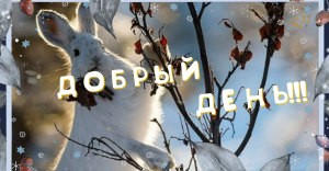 ?Доброго Дня Отличного Настроения! Открытки Добрый День!