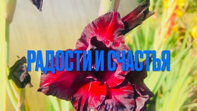 С Днём Воспитателя ? День Воспитателя 2021?? И Дошкольных Работников ? смотреть онлайн