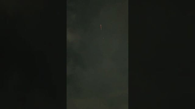 5” coco Double chrysanthemum flower (freedom) смотреть онлайн