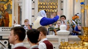 2 антифон недели Ваий