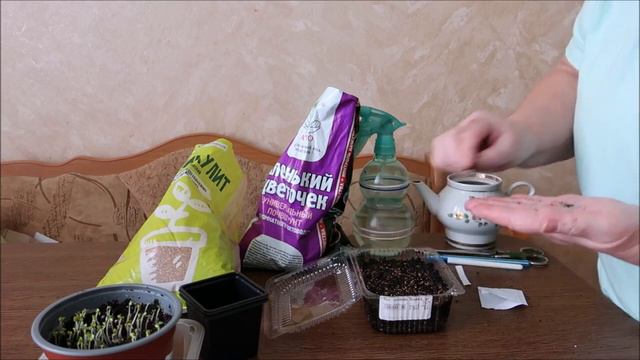 СЕЙТЕ ТОЛЬКО ТАК‼️ СЕМЕНА ВЗОЙДУТ БЫСТРО И ДРУЖНО!!