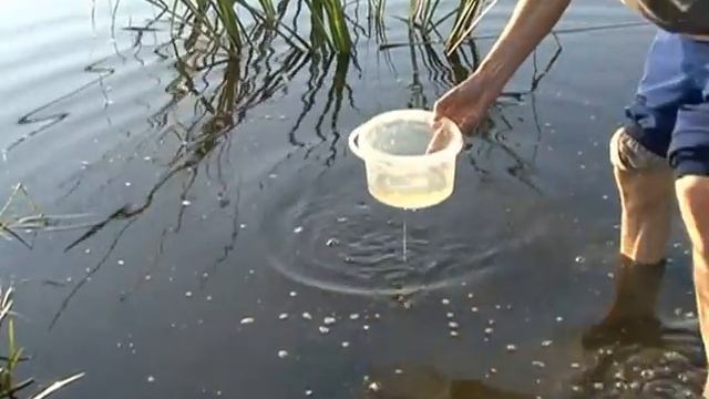 Интересные приманки Выпуск 1. "Водяной червь" смотреть онлайн
