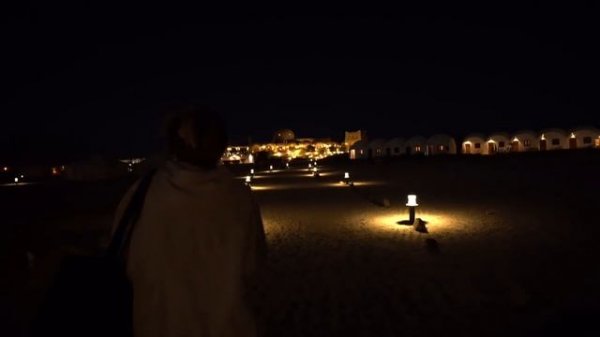 Secret Dolphin Hotspot in Red Sea - Diving with Wild Dolphins in Egypt