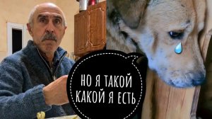 ПЕРСИК НАПАЛ НА ЧЕЛОВЕКАСЕРЬЕЗНЫЙ РАЗГОВОР С ПАПОЙ.