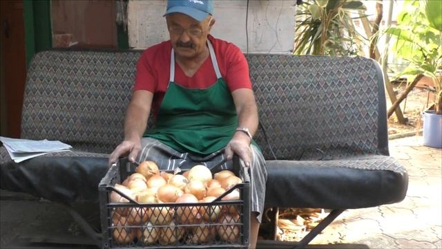 Как сохранить лук до мая (секрет успеха) смотреть онлайн
