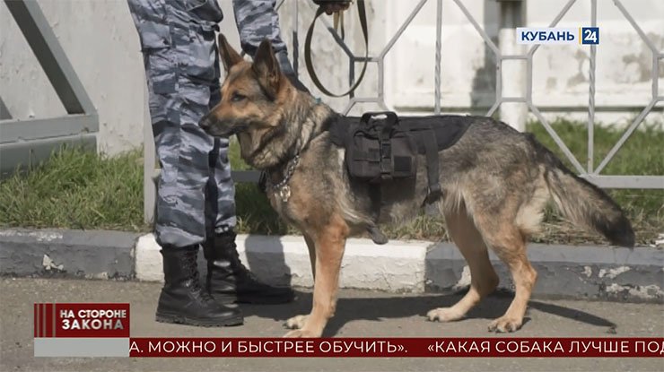 «На стороне закона. Итоги»: с 1 декабря автовладельцы обязаны сменить летнюю резину на зимнюю