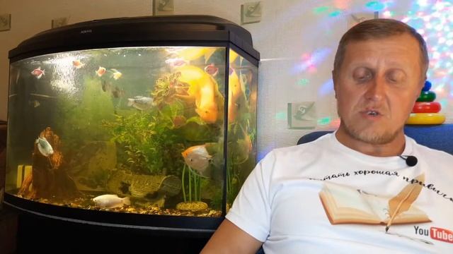 Юрий Олеша "Три Толстяка" часть2, глава5 смотреть онлайн