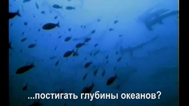 поиск смысла жизни.mp4 смотреть онлайн