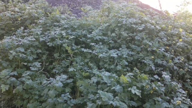 23 - 24 сентября. 16 лет без сына. Приехала внучка. Пришла посылка. смотреть онлайн