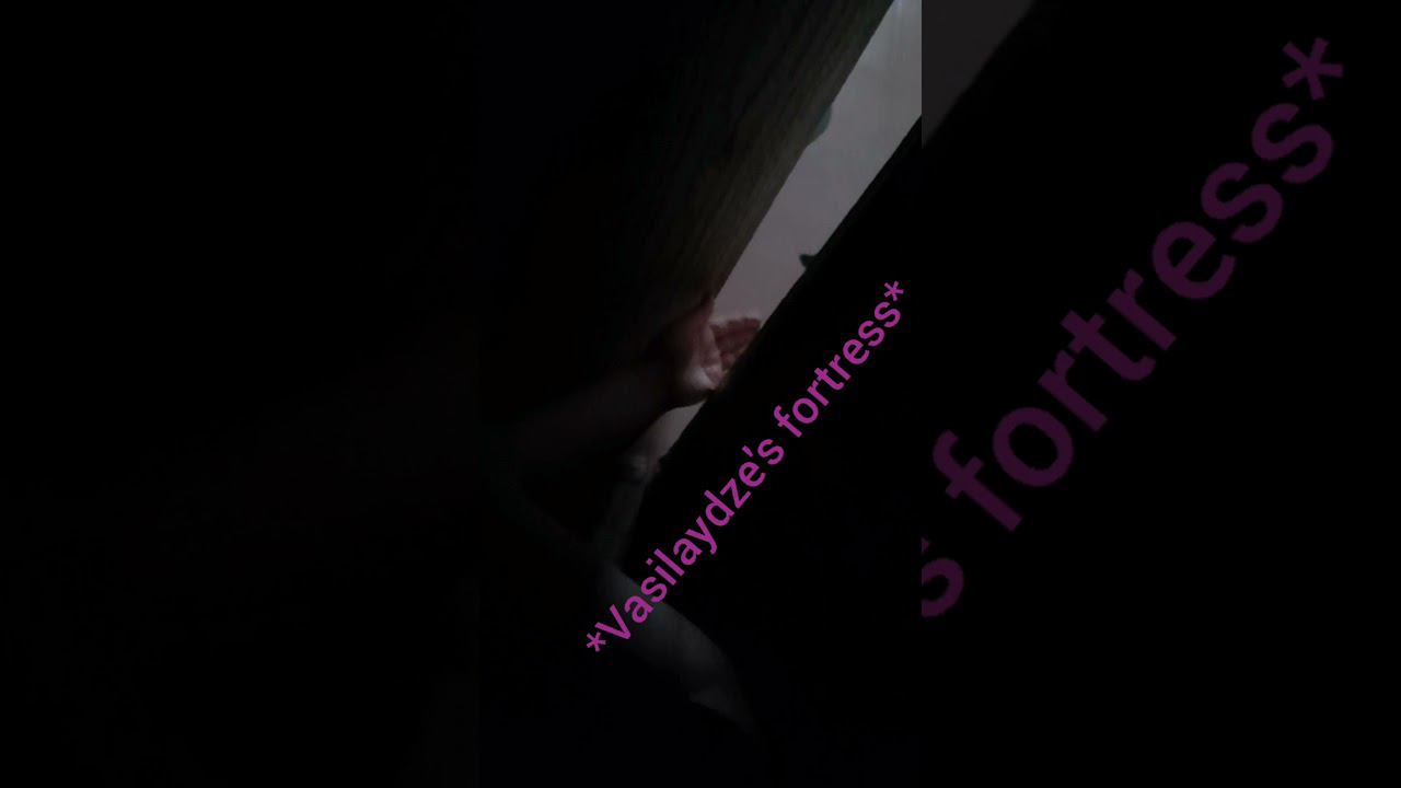 -Second domestic tom cat, Vasilydze!