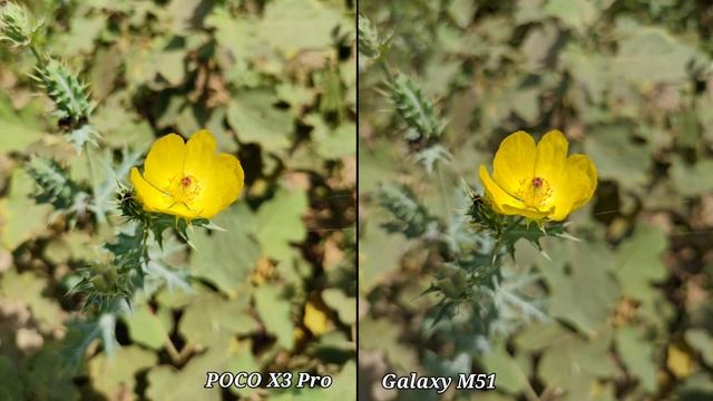 POCO X3 Pro VS Samsung Galaxy M51 Camera Comparison смотреть онлайн
