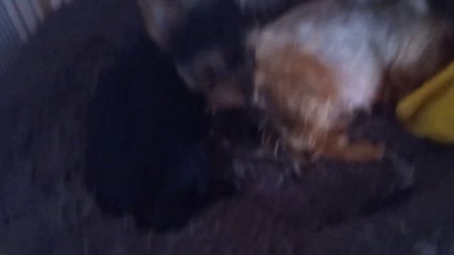 дети и также их родители послушать не хотите ли смотреть онлайн
