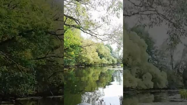 Сплав на пакрафтах от первого лица. смотреть онлайн