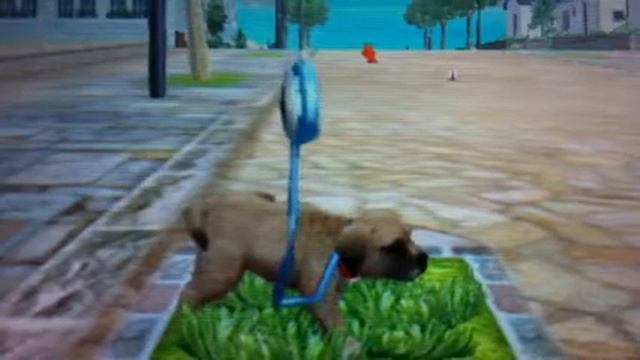 Nintendogs + Cats 007 - secret path! ... Again! смотреть онлайн