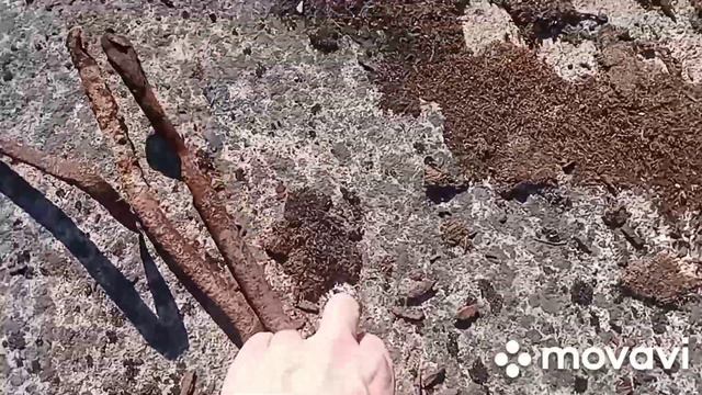 старая каменная постройка на берегу Кольского залива смотреть онлайн