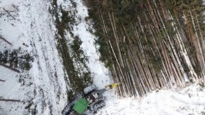 ЛЕСОЗАГОТОВКА. Трелёвка леса СКИДДЕРОМ.