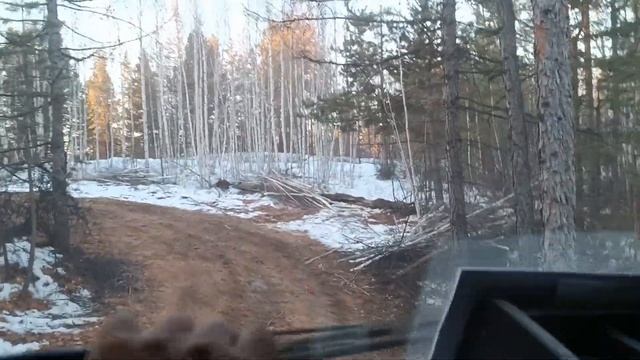 Крайний рейс!Делянка закончилась,едем по дрова смотреть онлайн