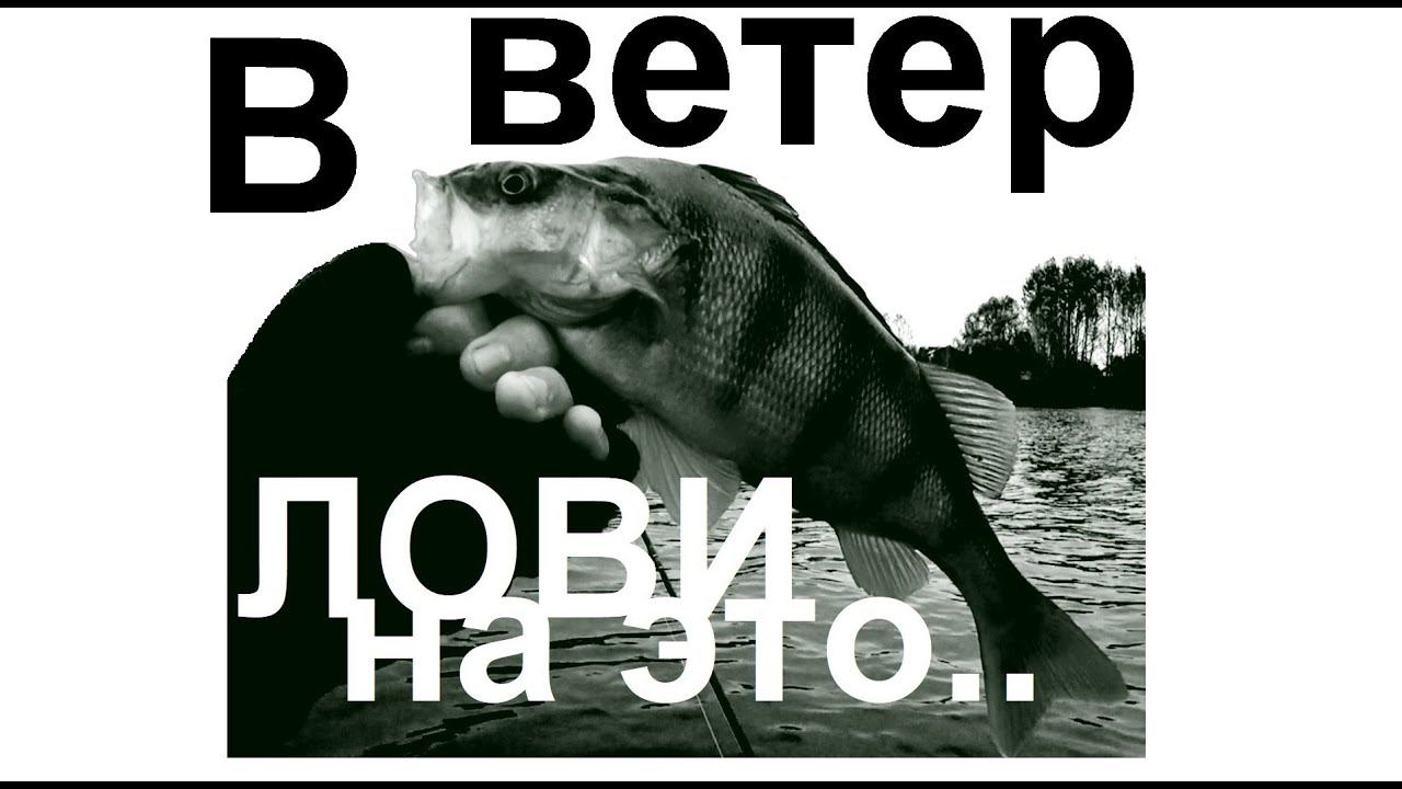 Рыбалка в сильный ветер! тейл-спиннер BONZO STUDIO Huracan смотреть онлайн