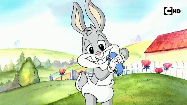 Baby Looney Tunes-intro (Romanian,HD)