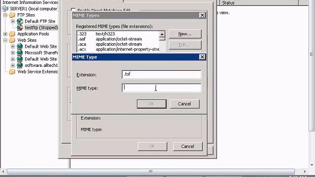 Setup new Mime type in Windows IIS смотреть онлайн