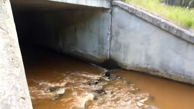 р. Лесья смотреть онлайн