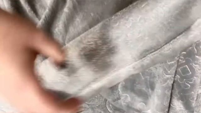 Покрывало велсофт Серая морешка смотреть онлайн