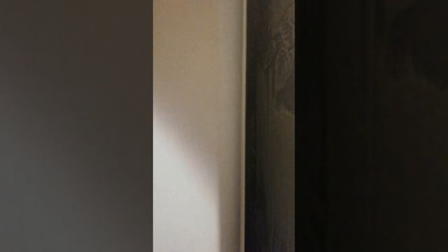 Грустный слон. смотреть онлайн